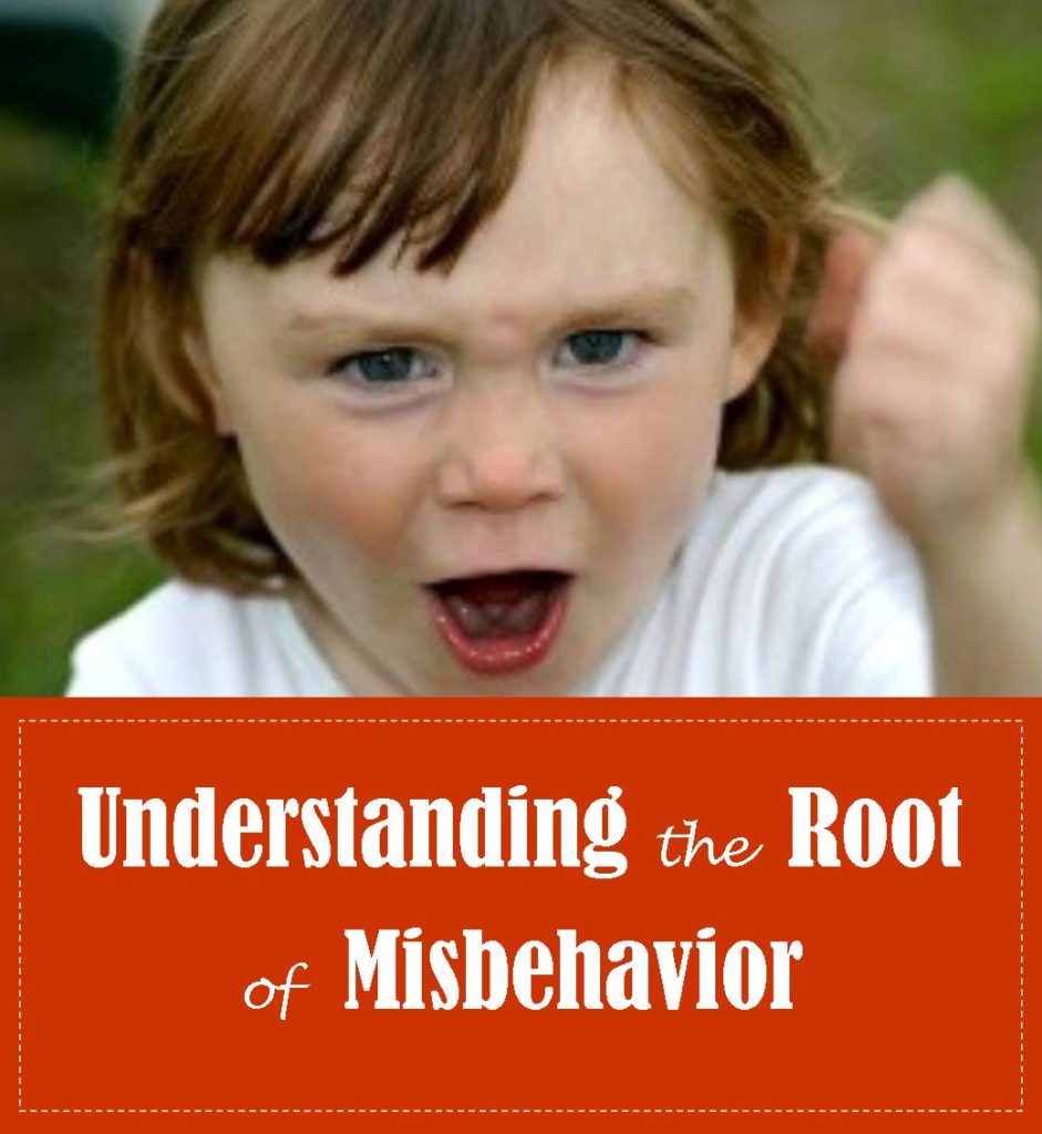 root-of-misbehavior-intentional-catholic-parenting