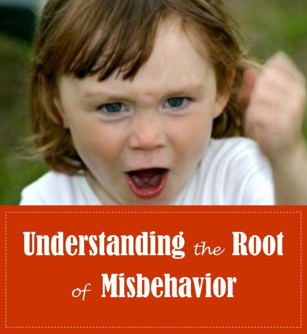 Understanding the Root of Misbehavior