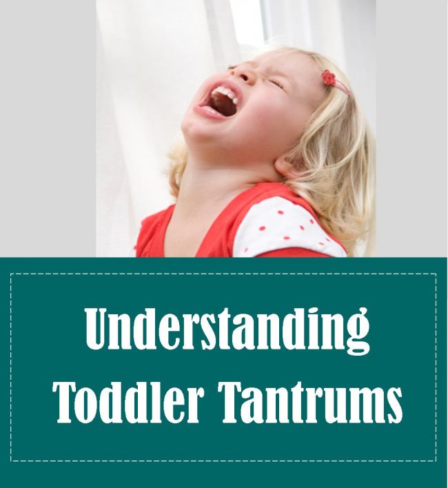 Understanding Toddler Tantrums (Ep. 4)