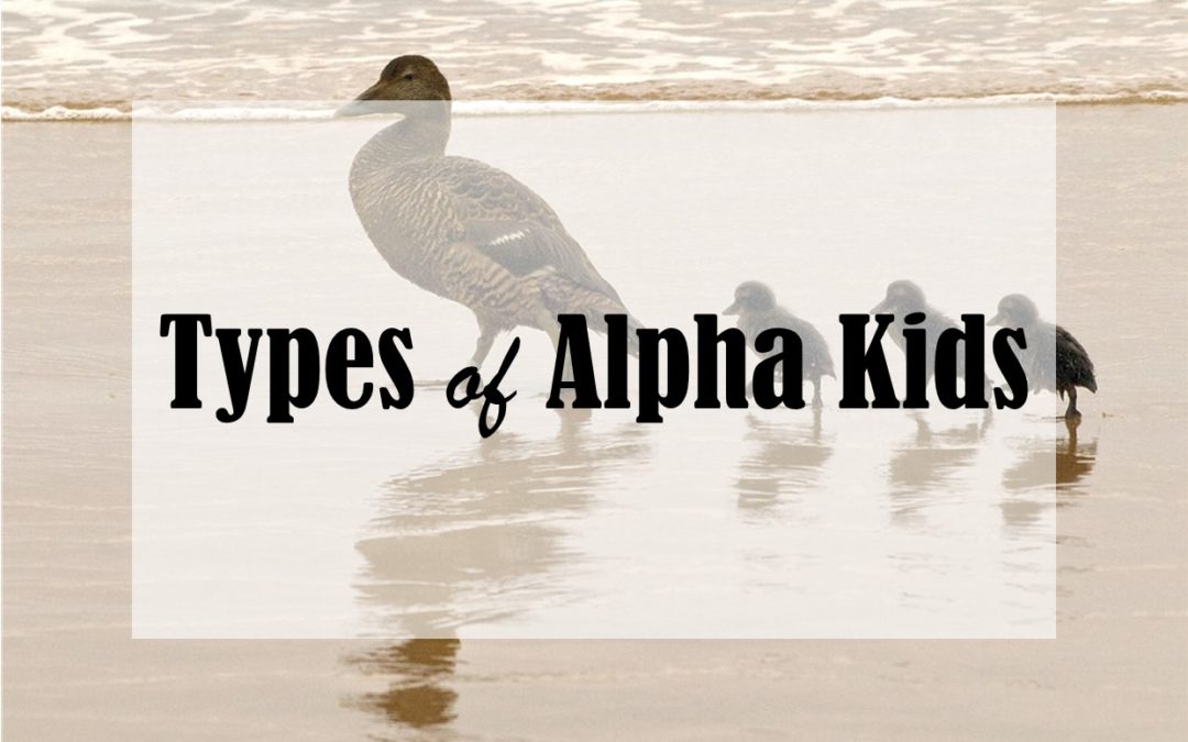 Types of Alpha Kids (Ep. 15)